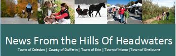 News From the Hills 2013 sales sheet header News From the Hills 2013 sales sheet header