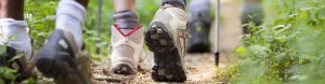 HHTA-Hiking-and-Biking-1140x300