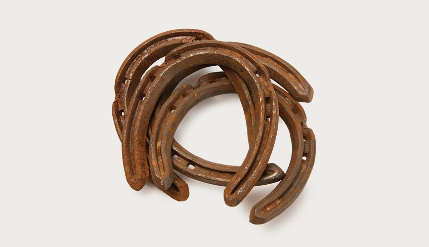 Headwaters Horse Country is home to many farriers | Photo by: Pete Paterson
