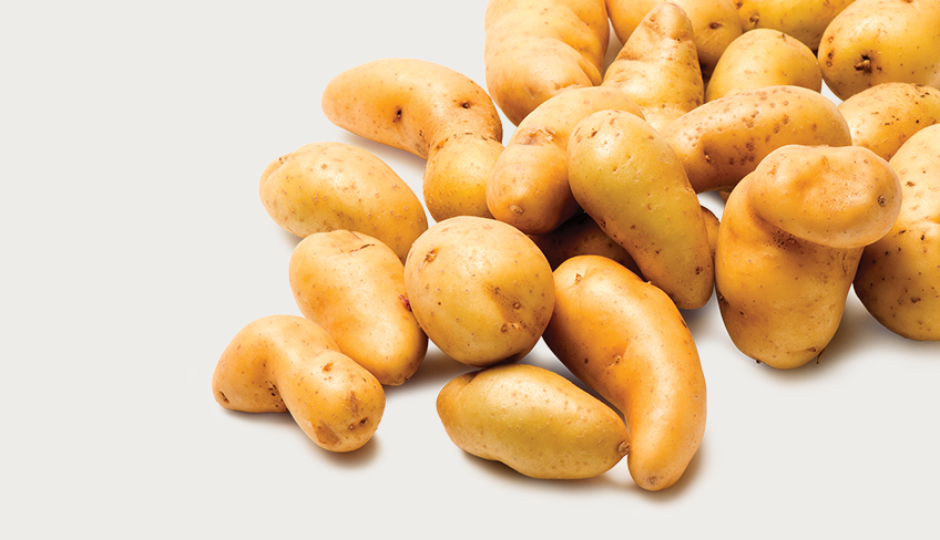 Potatoes from Downey Farms & Bistro Fresh Potatoes. Photo by: Pete Paterson