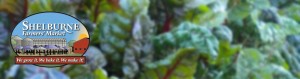 Shelburne-Farmers-Market-1140x300