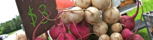Erin-Farmers-Market-1140x300