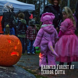 Haunted-Forest-at-Terror-Cotta-3